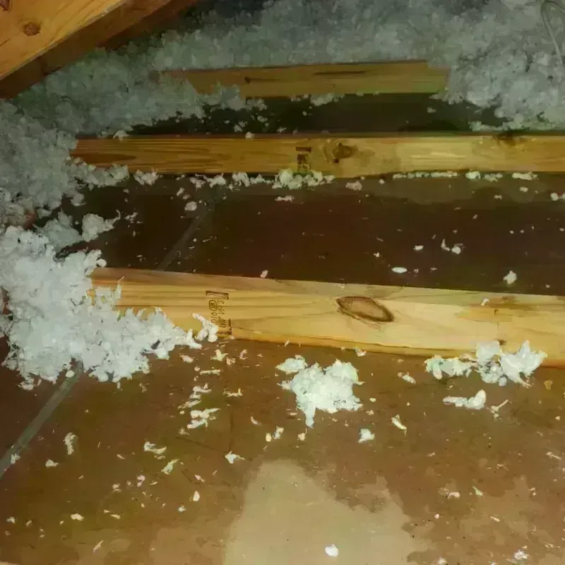 Attic Water Damage in Columbus, WI