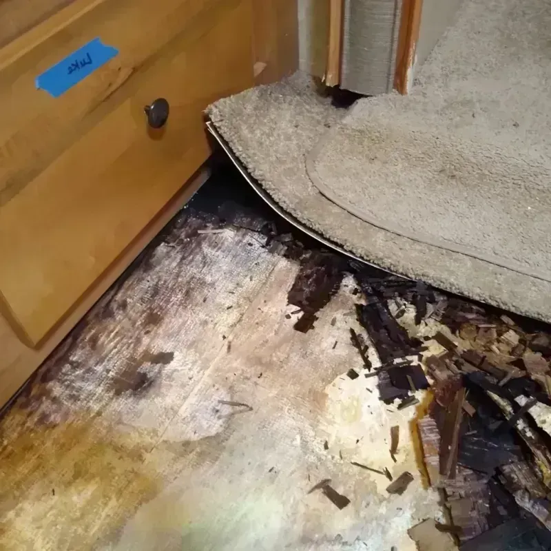 Best Wood Floor Water Damage Service in Columbus, WI